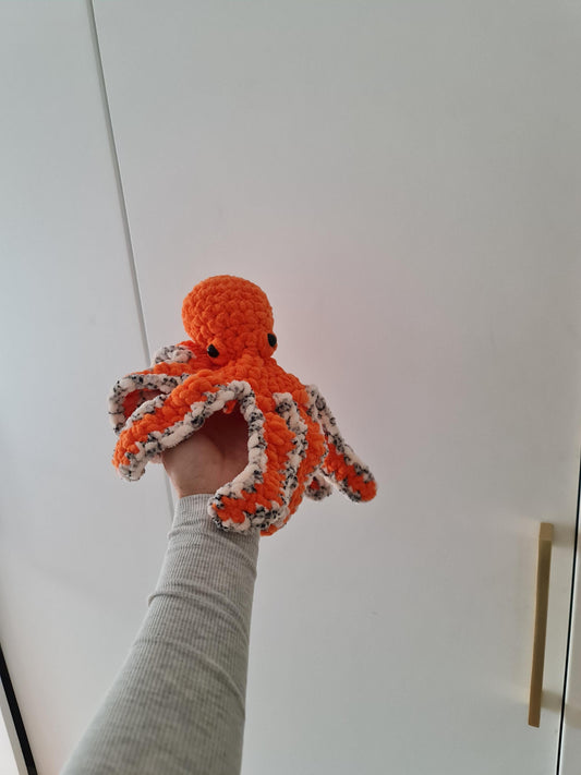 Octopus