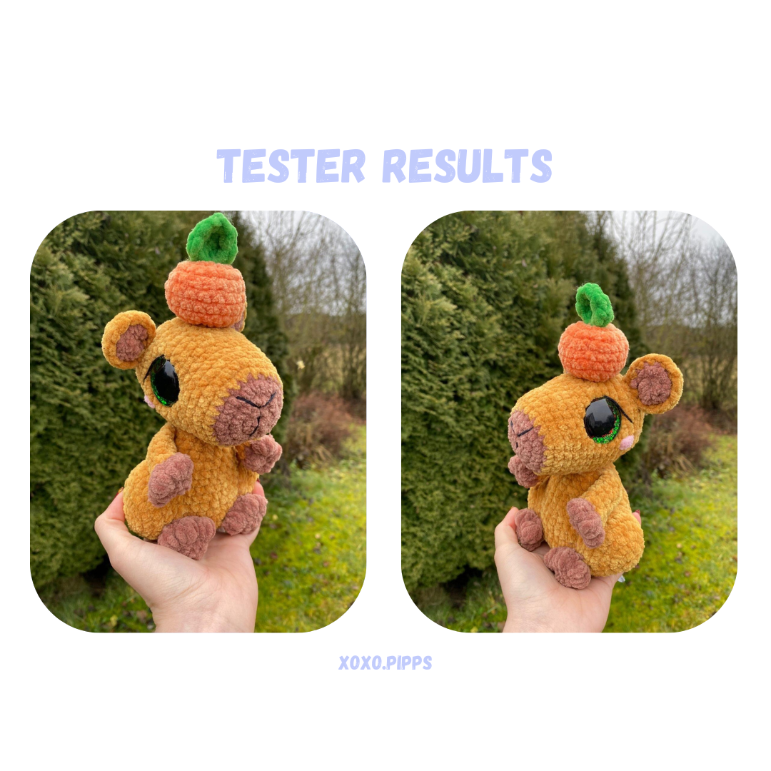 Capybara with Outfits Crochet Pattern