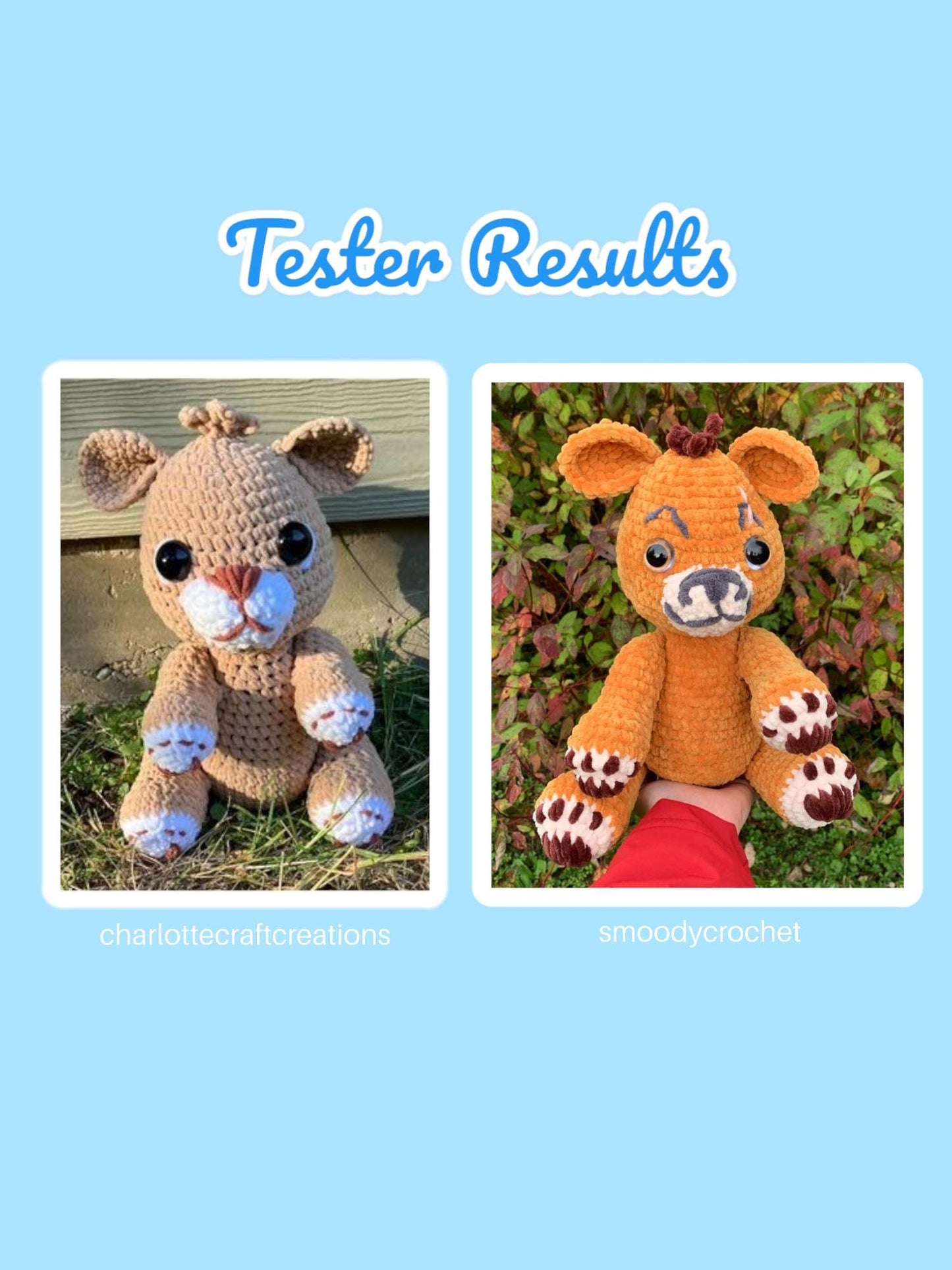 Baby Lion Pattern