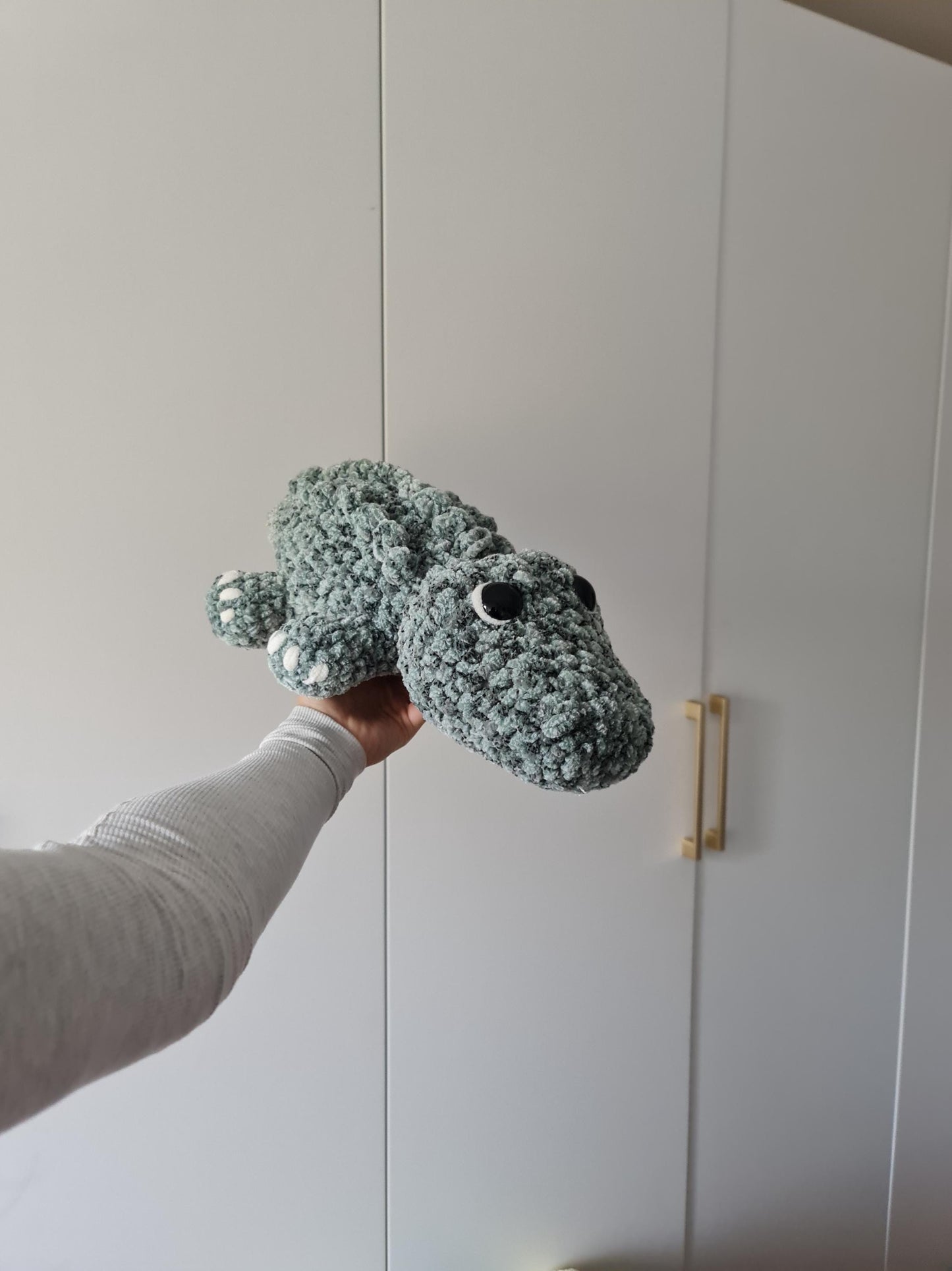 Alligator