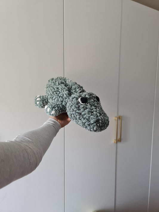 Alligator