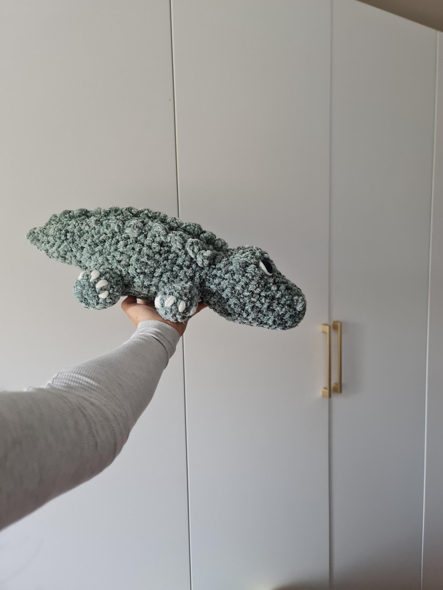 Alligator