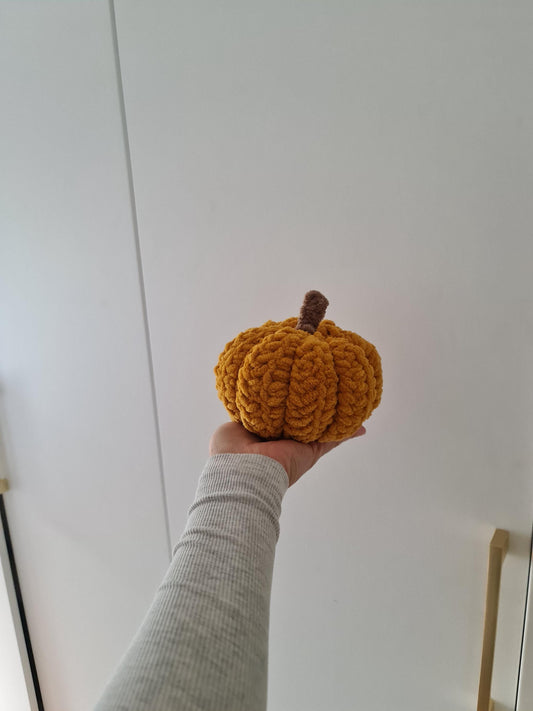 Pumpkin