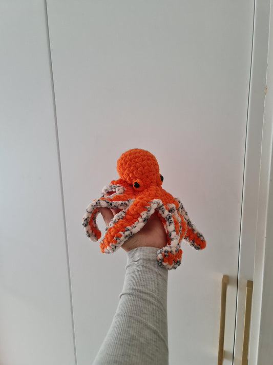 Octopus