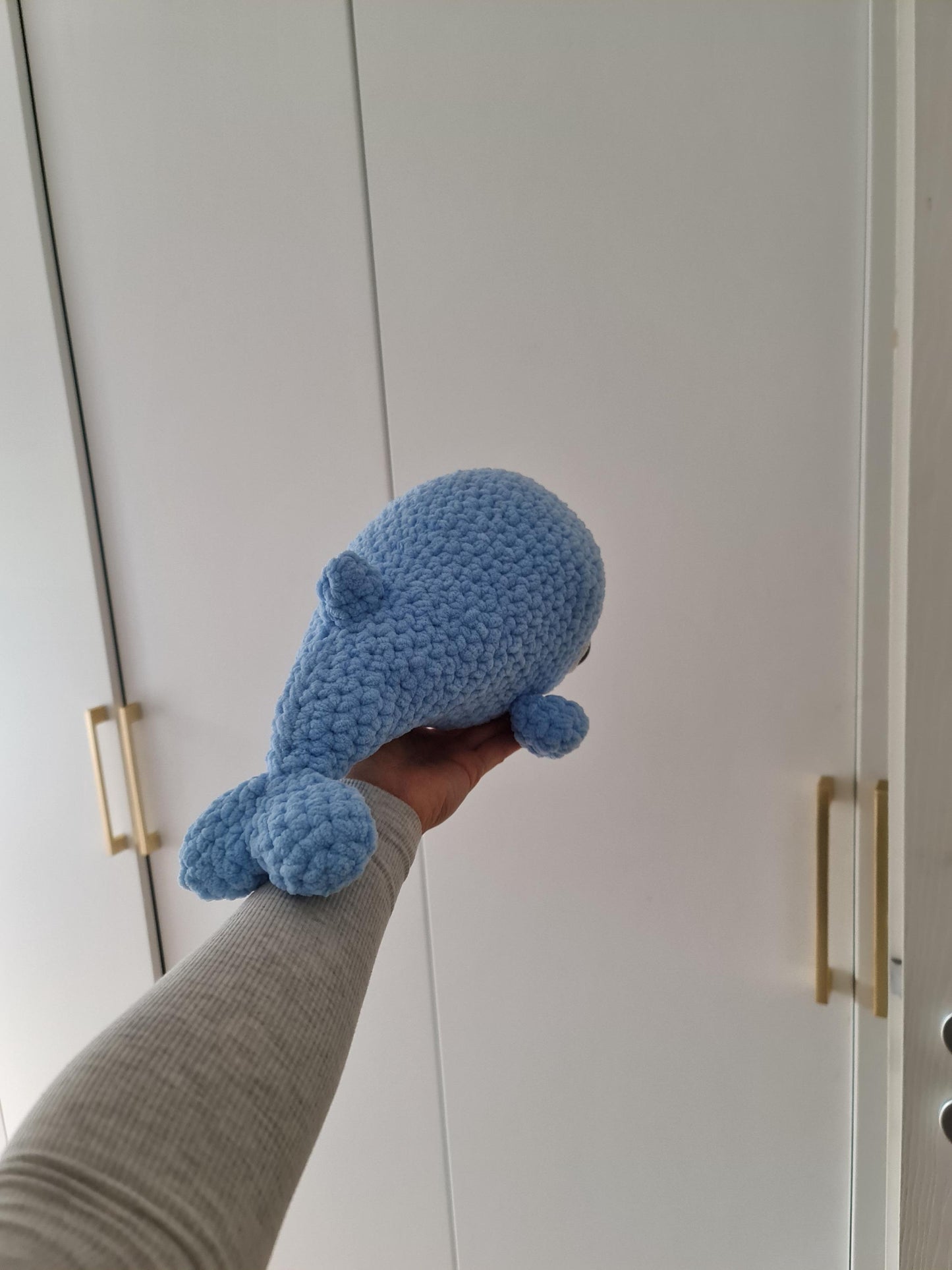 Dolphin