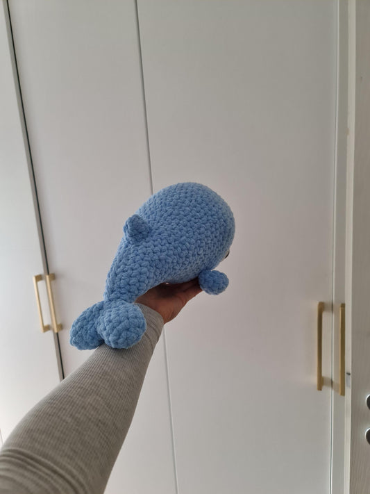 Dolphin