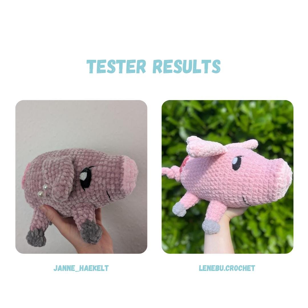 Star Boar Pig Pattern